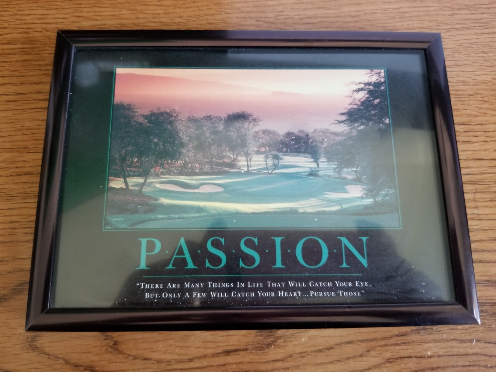 Used – Inspirational Passion Sign in Black Shiny Metal Frame for a Desk