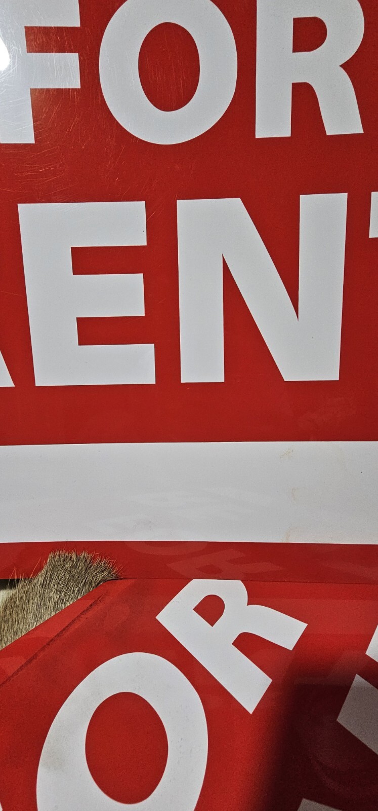FOR RENT Sign 24×20&Prime; inch Weatherproof Plastic Rent Property Apartment Office