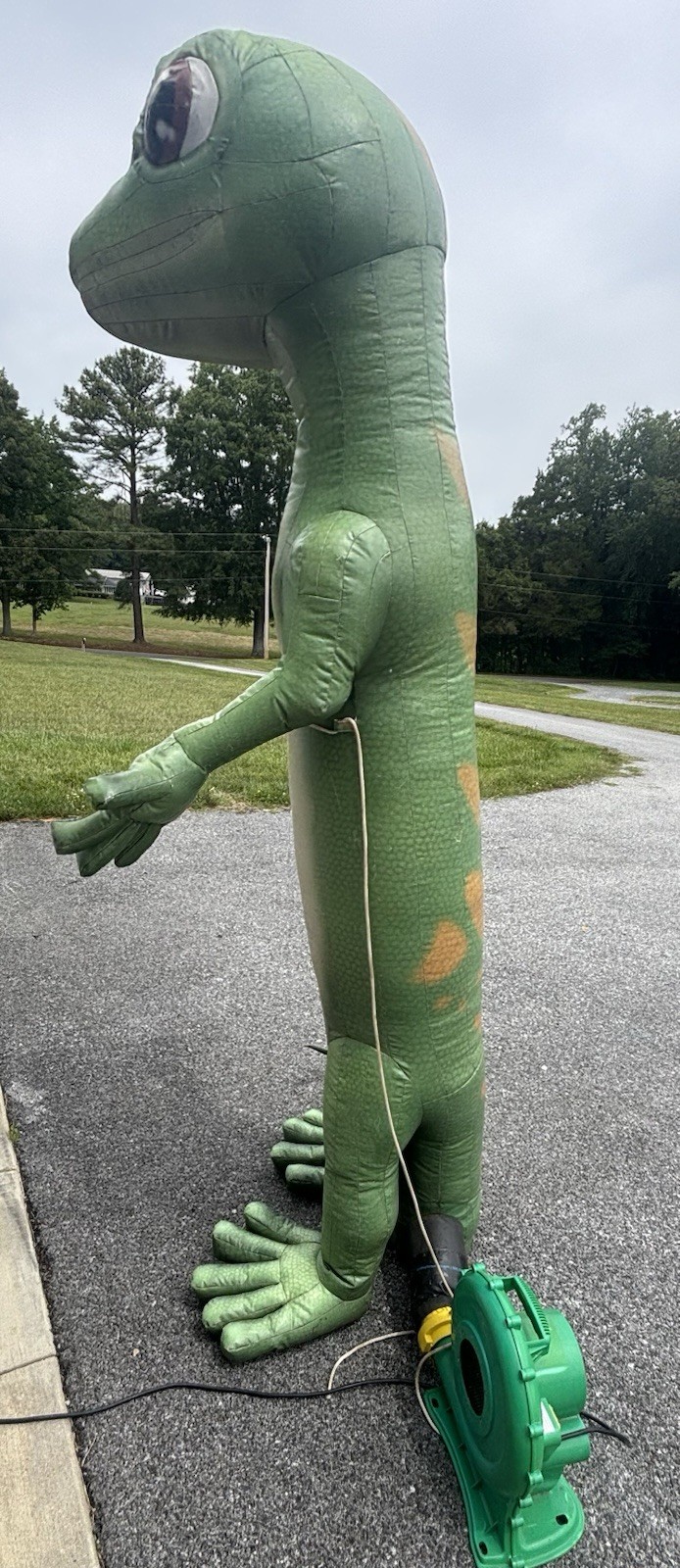 Inflatable Geico Gecko Advertising Approx 8 Feet Tall With Blower