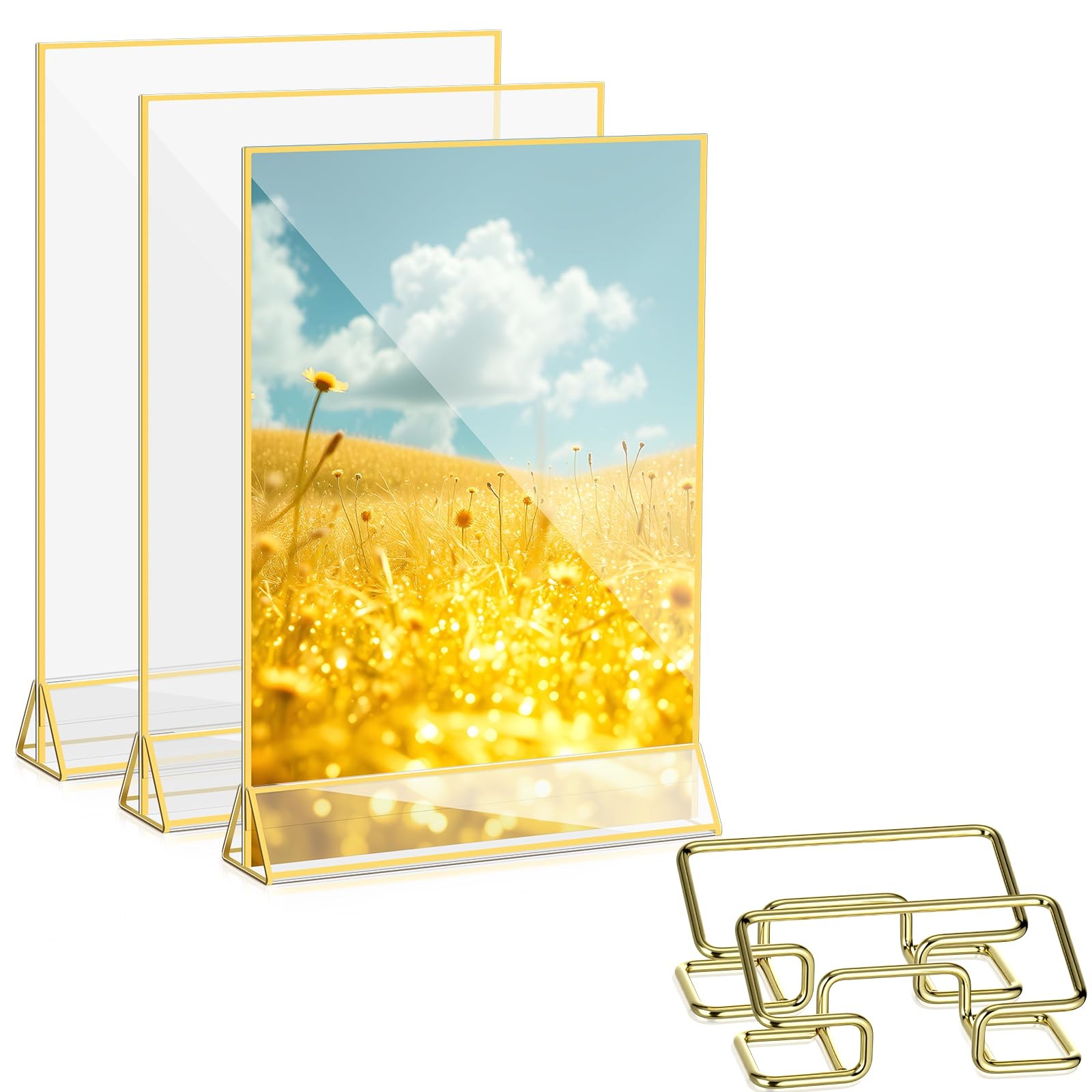 Otoolling 3 Pack 8.5 x 11 Inch Acrylic Sign Holders with 2 Business Card gold