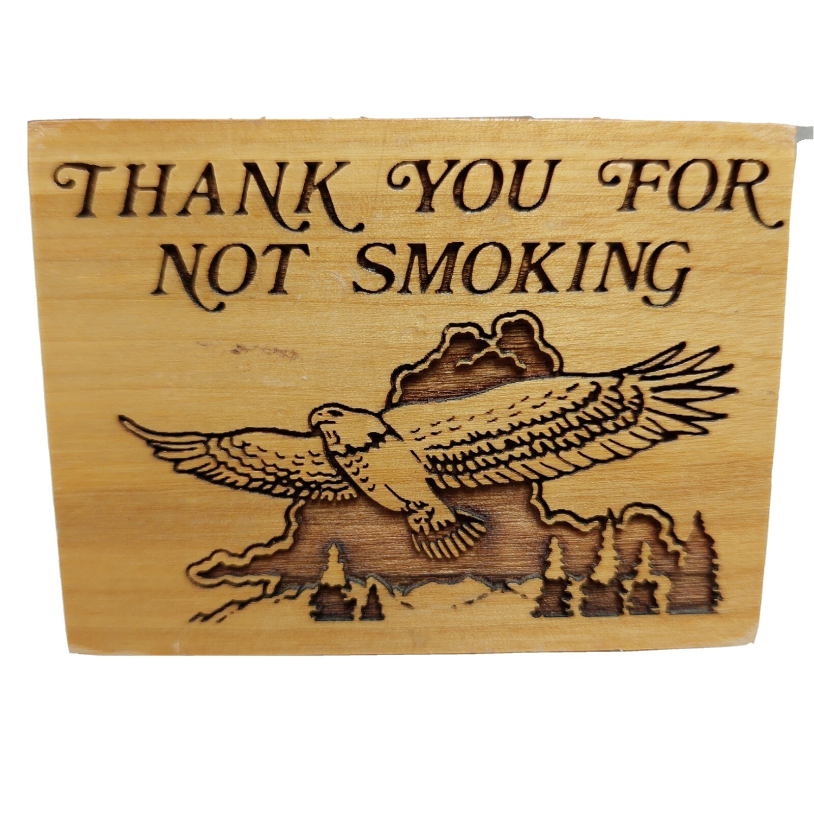 « Thank you for not Smoking » Wooden Desk Sign 2 12&Prime; x 3&Prime; Eagle Mountain