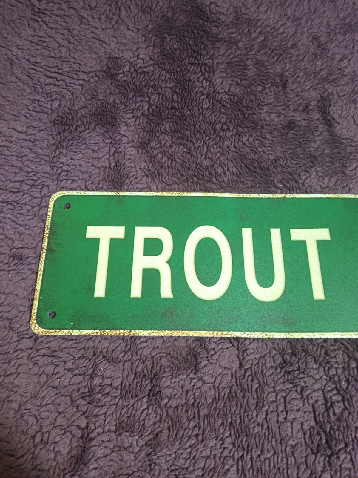 4&Prime; X 15&Prime; Aluminum Street Sign « TROUT ROAD » GREEN & White W/4 Mounting Holes