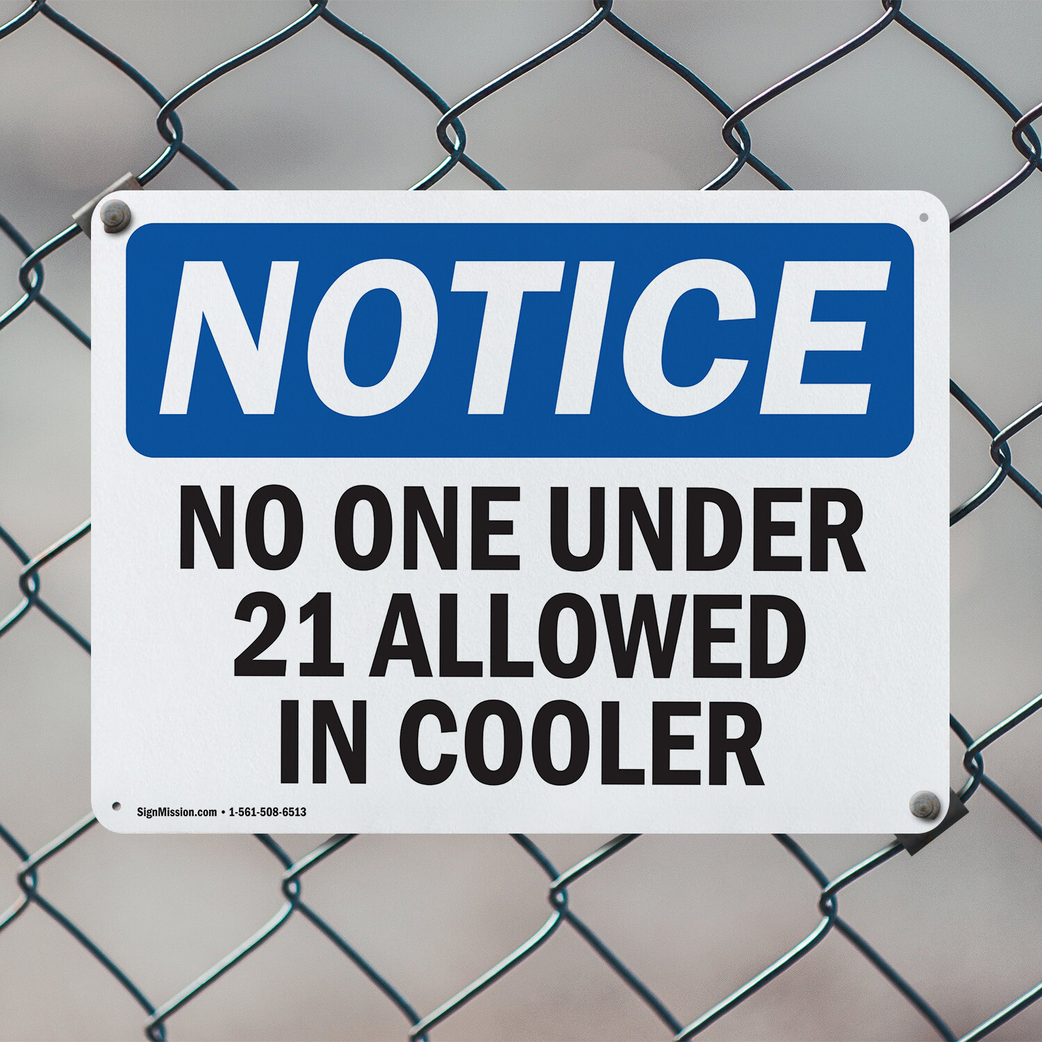 (2 Pack) No One Under 21 Allowed In Cooler OSHA Notice Sign Decal Metal Plastic