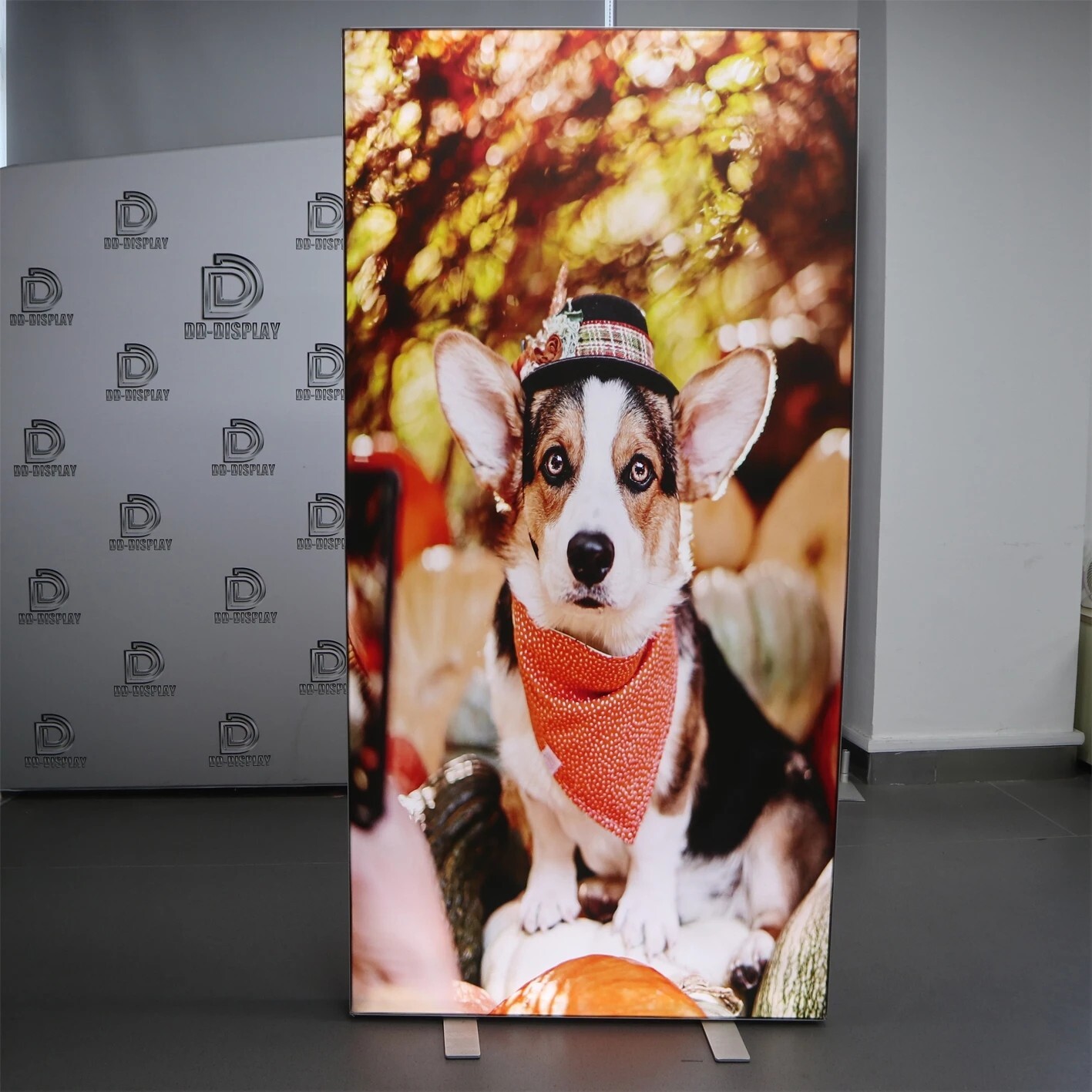 6ft*6ft LED Frameless Fabric Light Box Customize Trade Show Advertising Display