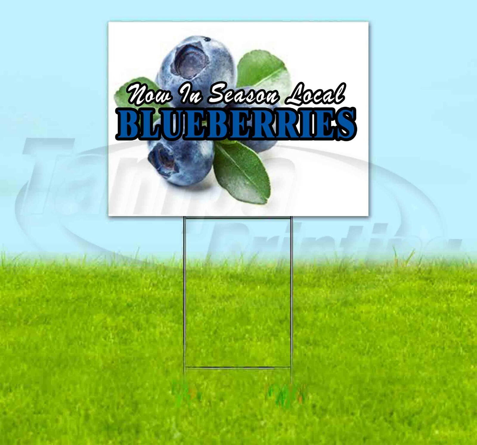 BLUEBERRIES 18×24 Yard Sign Corrugated Plastic Bandit Lawn Business USA
