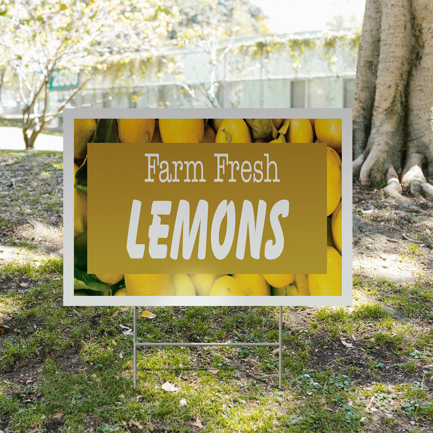 Farm Fresh Lemons Yard Sign Fresh Citrus, Local Grocers, Healthy Living