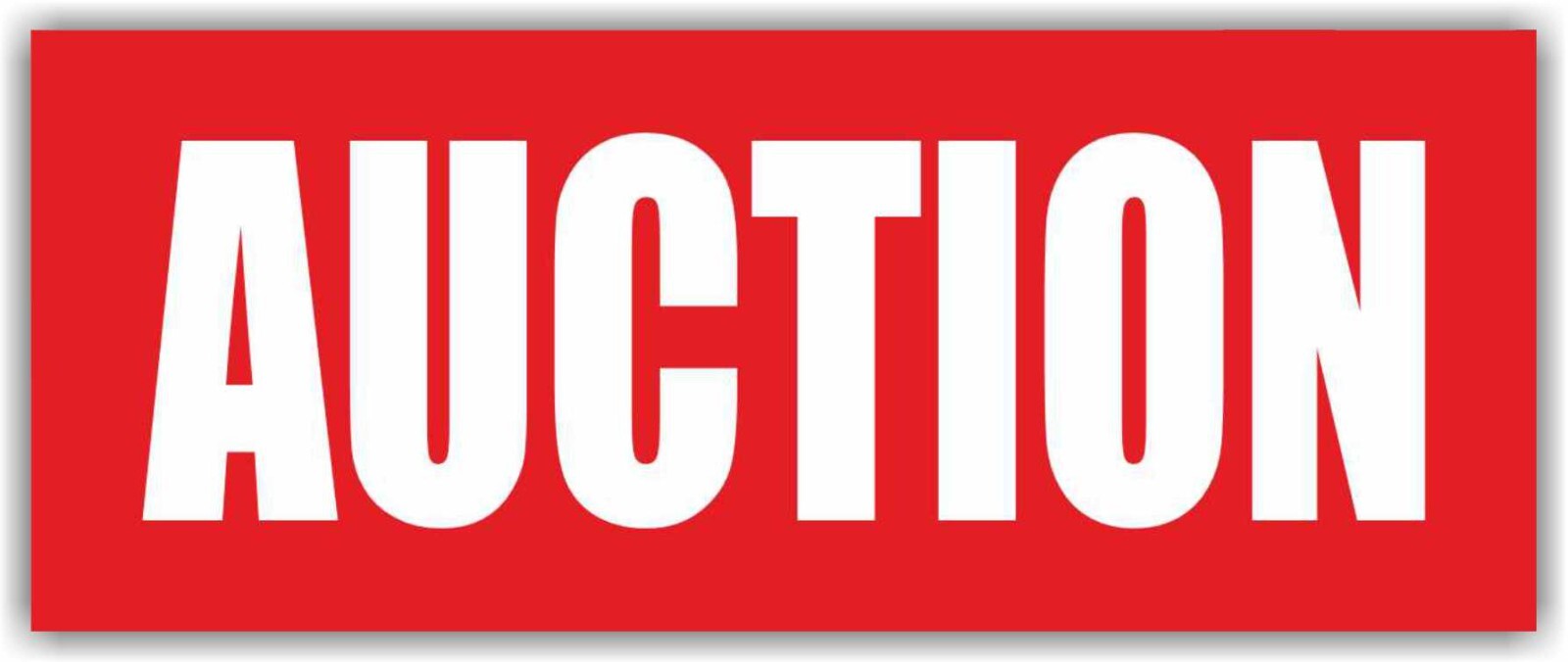 AUCTION Advertising Banner Vinyl Mesh Sign Flea Market Pawn Shop Antiques