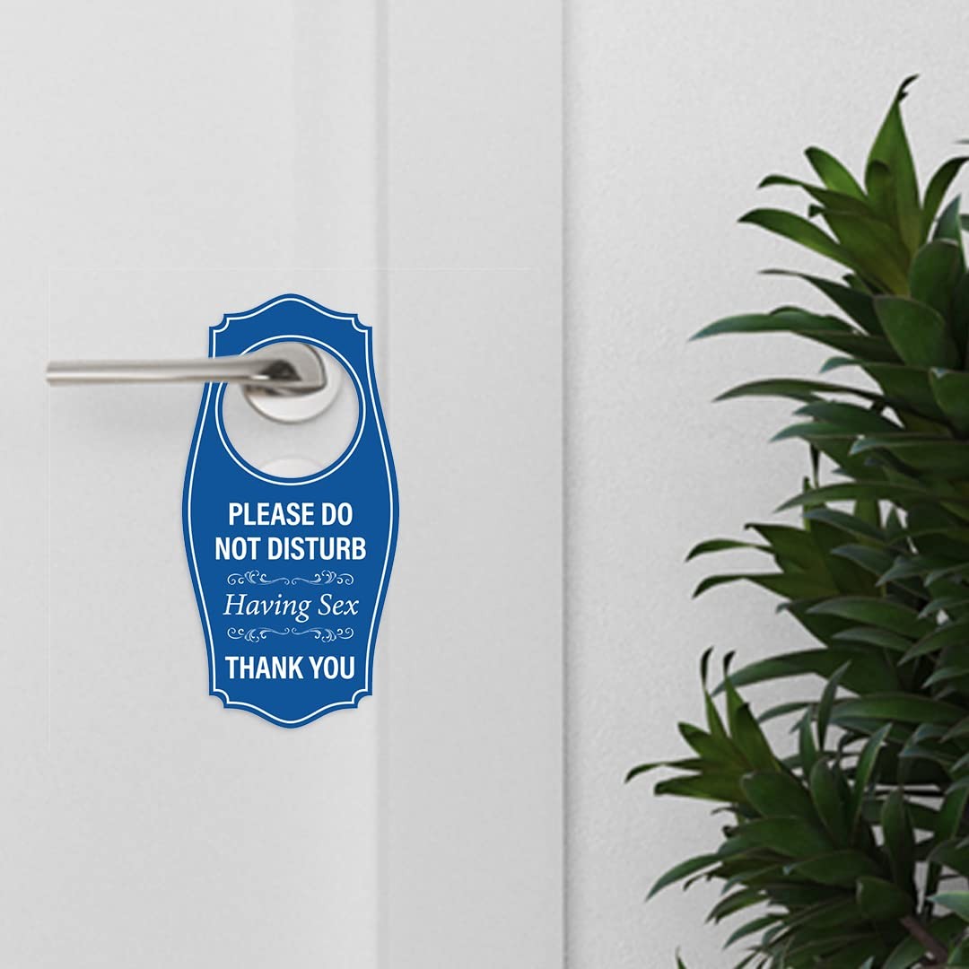 Please Do Not Disturb Having Sex Thank You Door Hanger Black Gold 4×8 Inch