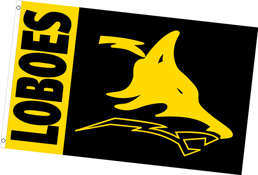 3&rsquo;x5&prime; Custom DOUBLE SIDED RECTANGLE FLAG w/ webbing and grommets FREE SHIPPING