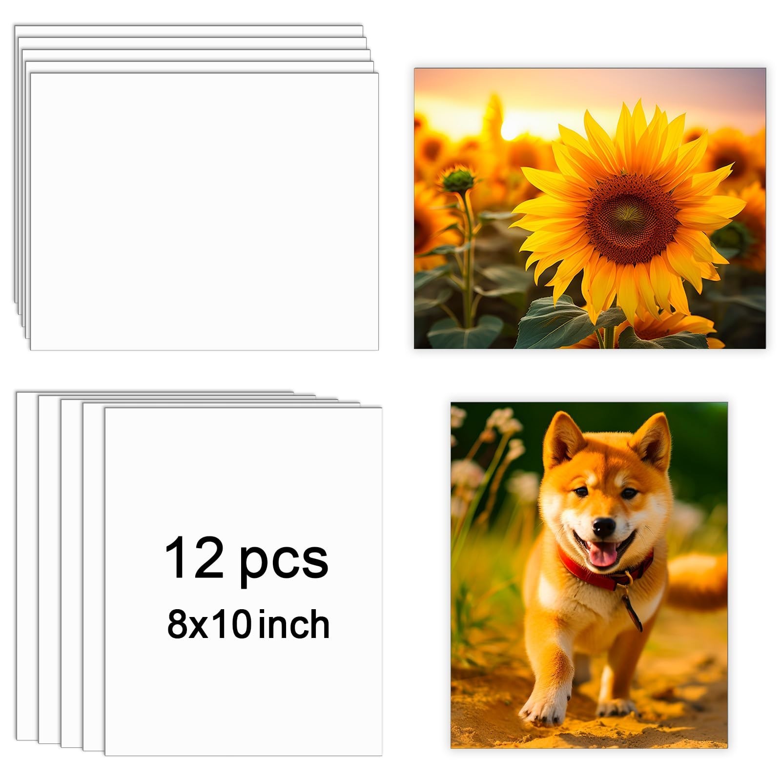 LIZOIDZSM 12 Pcs Sublimation Photo Blanks 8 x 10 Inch sublimation metal sign …