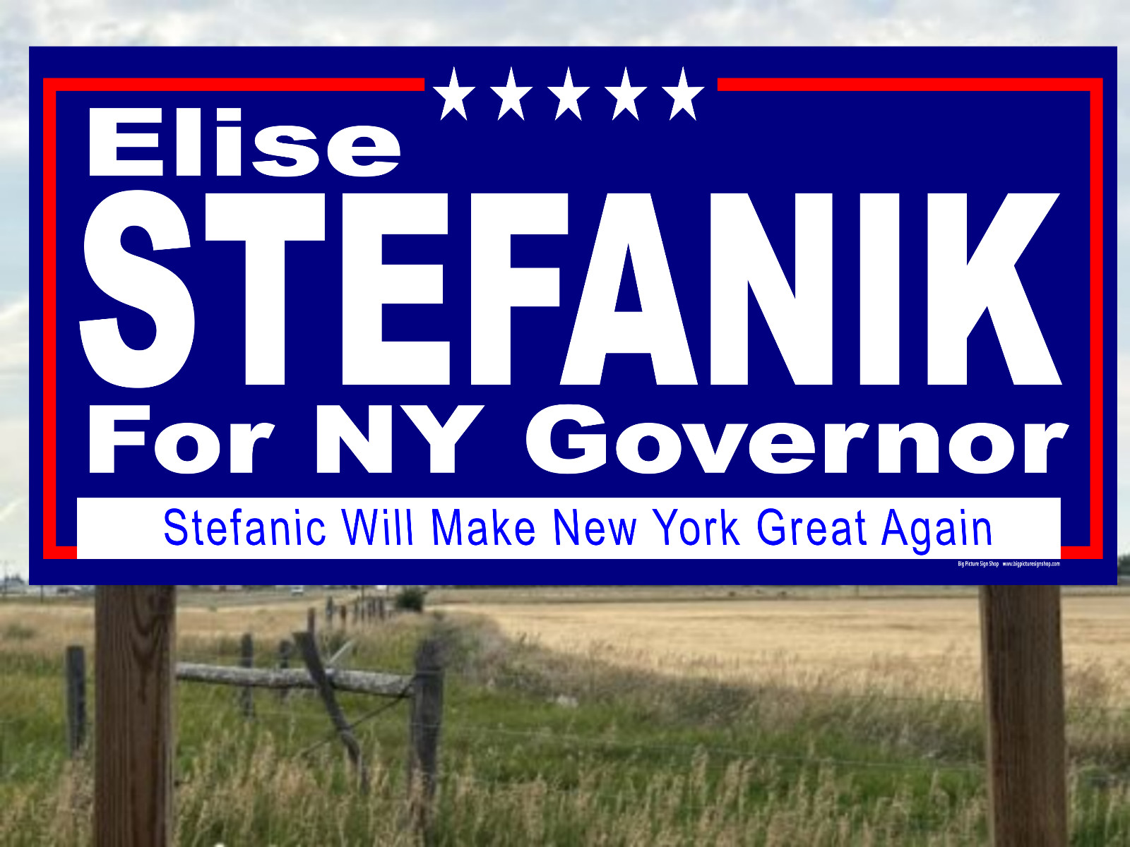 Elise STEFANIK NY GOVERNOR -Vinyl Banners-3 Choices Wh Blu Rd -Fast Ship-USA -35
