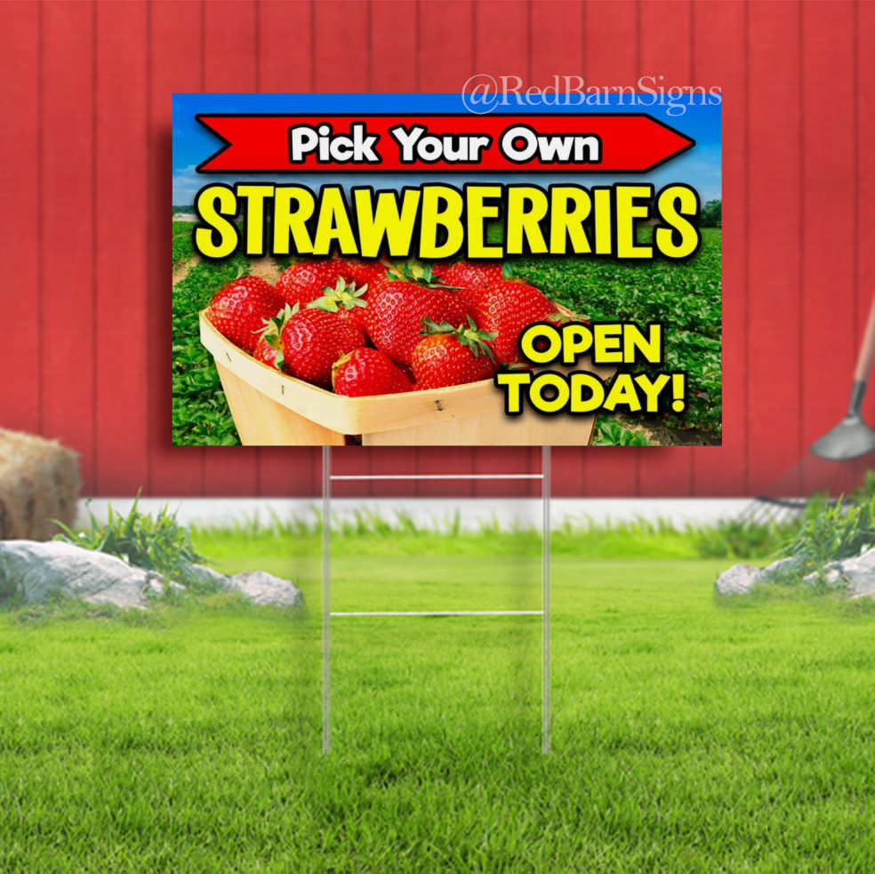 Pick Your Own Strawberries Indoor Outdoor Yard Sign with metal stakes