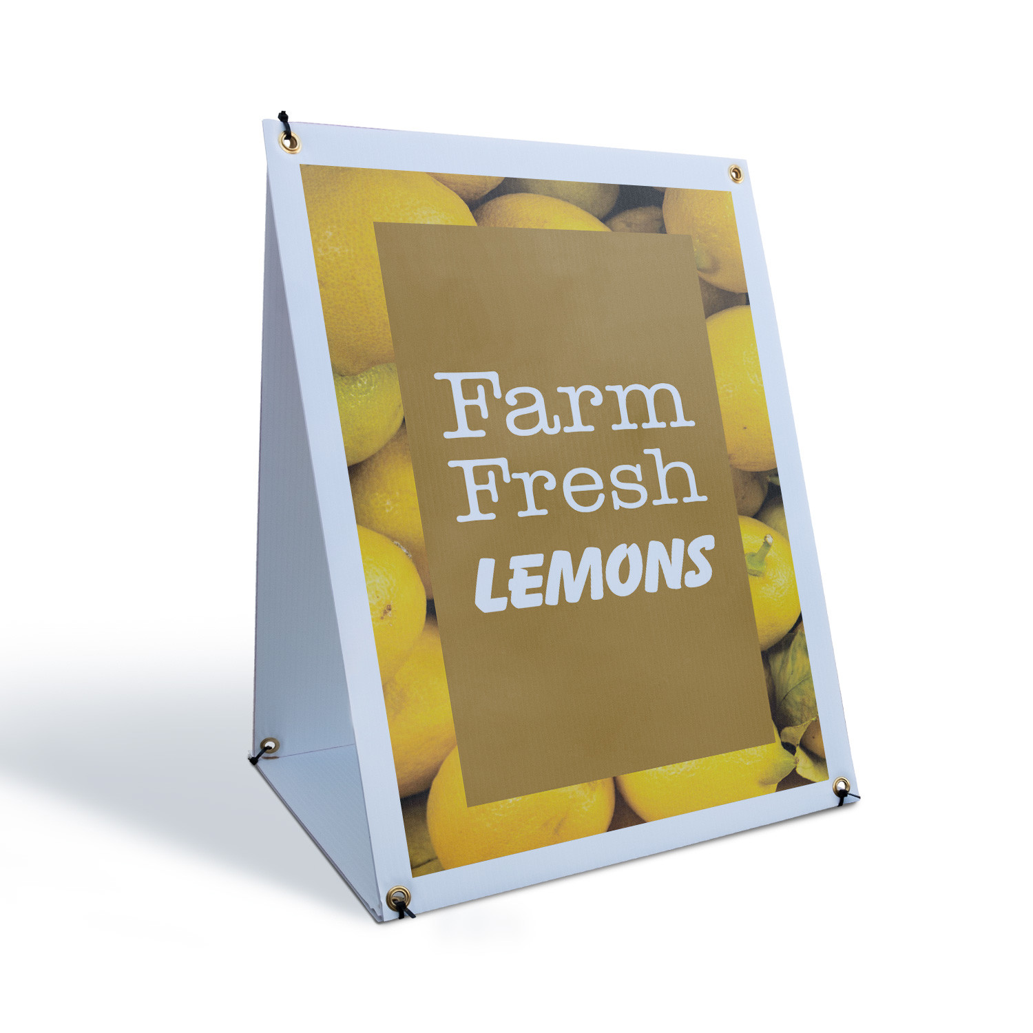 Farm Fresh Lemons A-Frame Sidewalk Sign Fresh Citrus Local Grocers Farmers