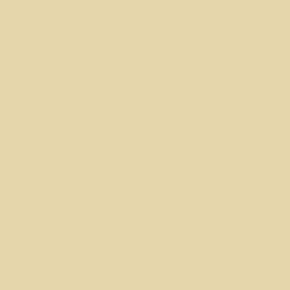 Vinyl Oasis – Gloss Beige – 12 in. x 10 ft. Roll – Premium Self-Adhesive Vinyl
