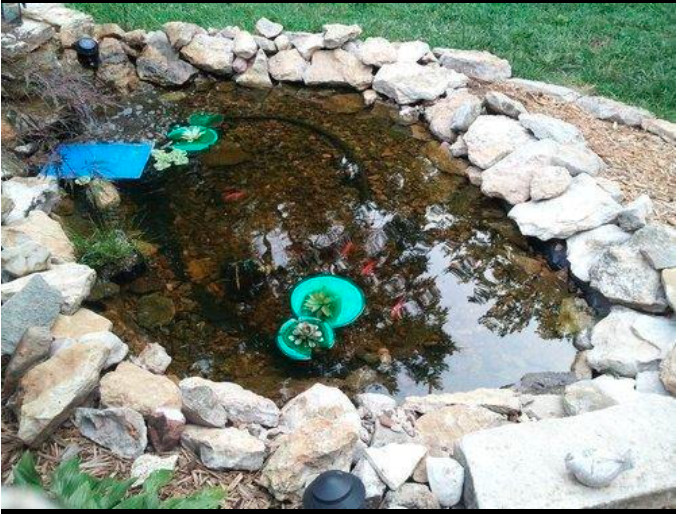 Original Barley Straw Bales Pond Treatment Clear Water Fountain Fish Tank 2 Pack
