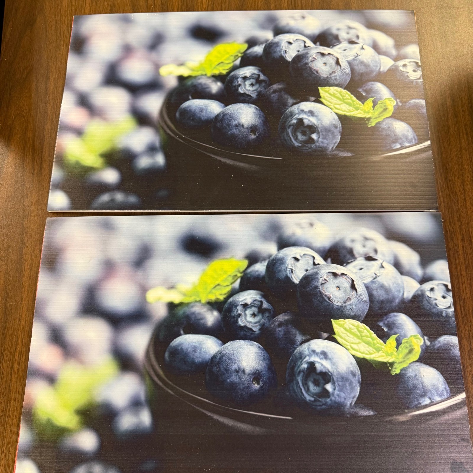 Blueberries Signs – Corrugated Plastic Material- 2 pieces @ 12&Prime;x19&Prime;