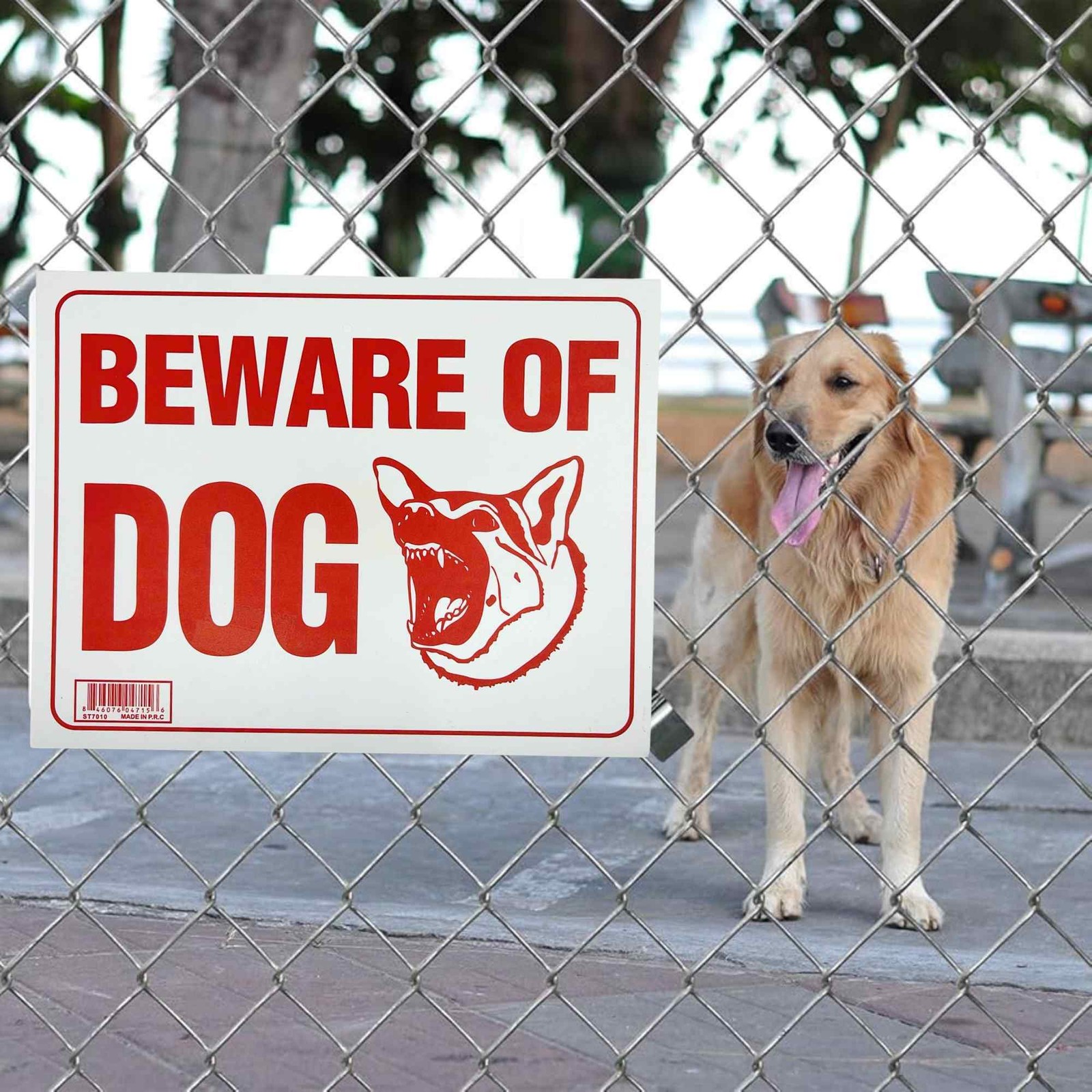 9&Prime;X12&Prime; « BEAWARE OF DOG » Plastic Signage Sign-1 Pack
