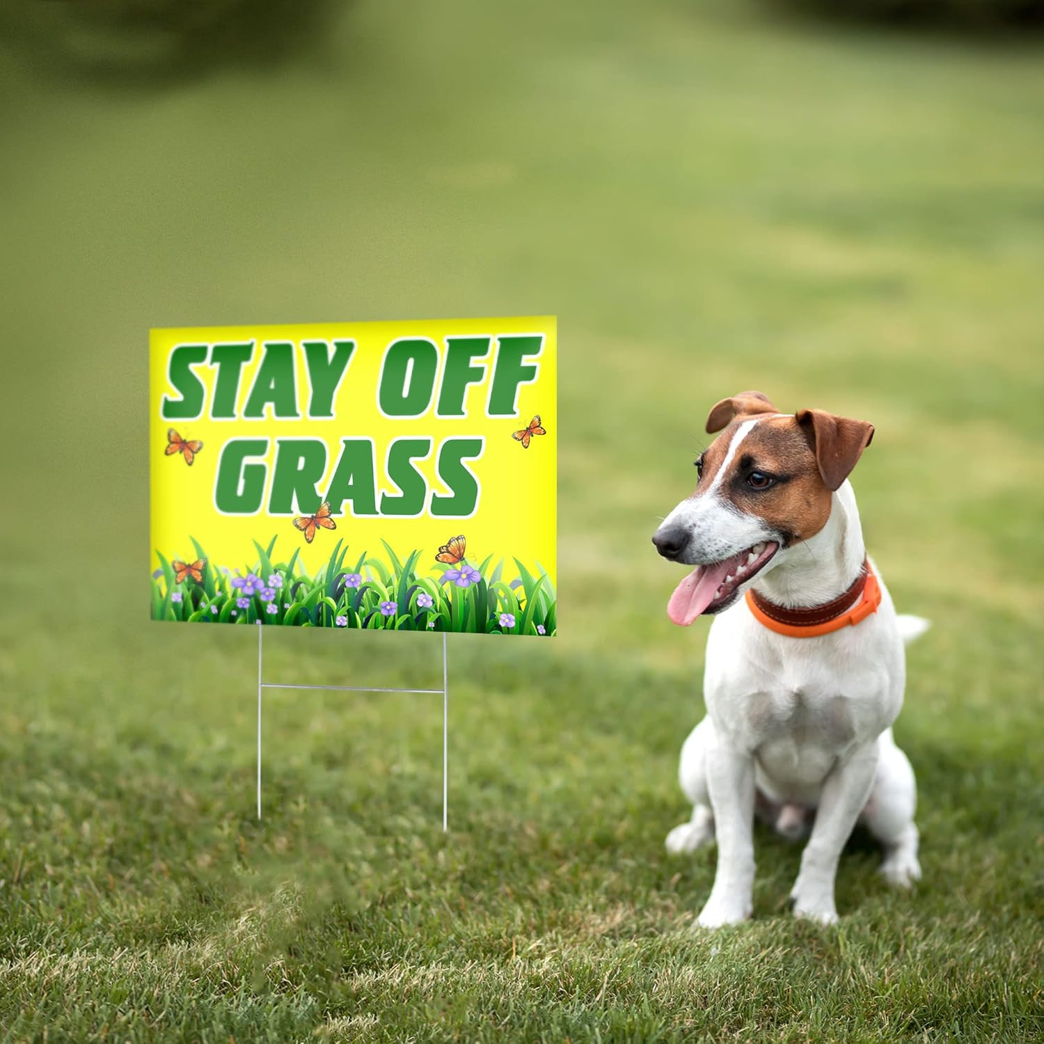 2 PC Stay off Grass Signs for Yard, 8X12 DS Coroplast Keep off Grass Sign, Curb