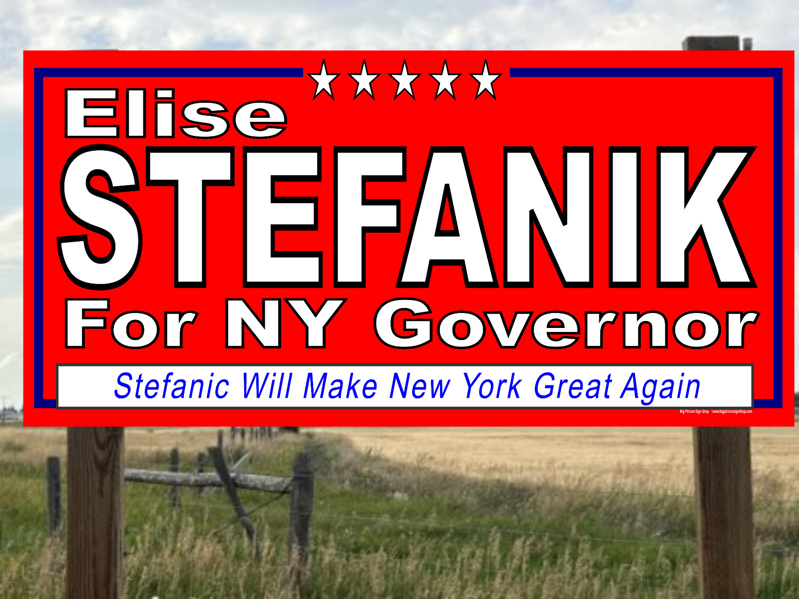 Elise STEFANIK NY GOVERNOR -Vinyl Banners-3 Choices Wh Blu Rd -Fast Ship-USA -35