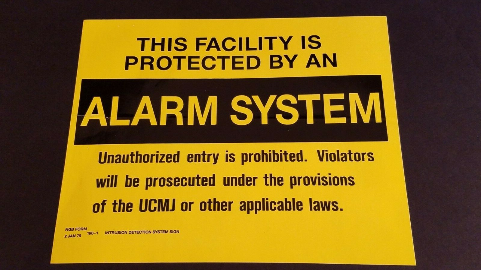 LARGE Facility Protected By Alarm System Sticker 10&Prime; X 8&Prime;