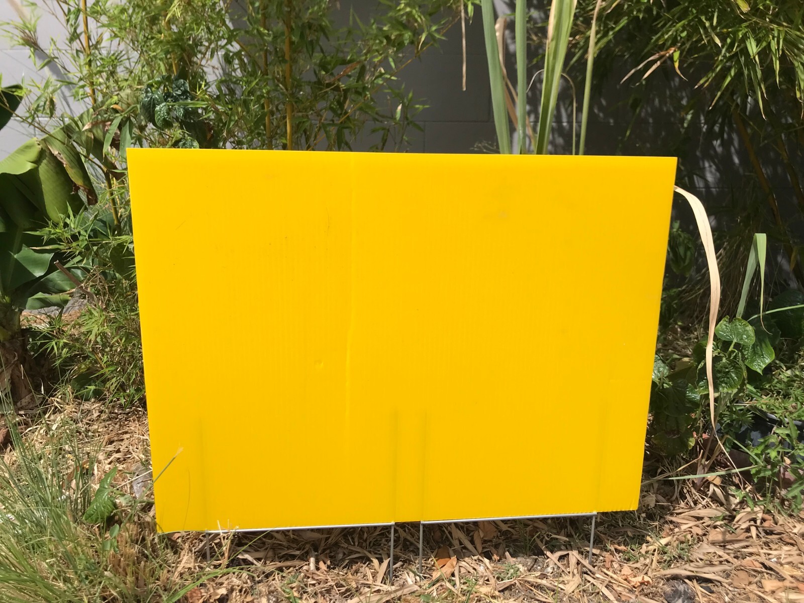 50 Pack Yellow Yard Signs 18 »x24 » & 100 H-Stakes 12 » Brand New Ship Same Day
