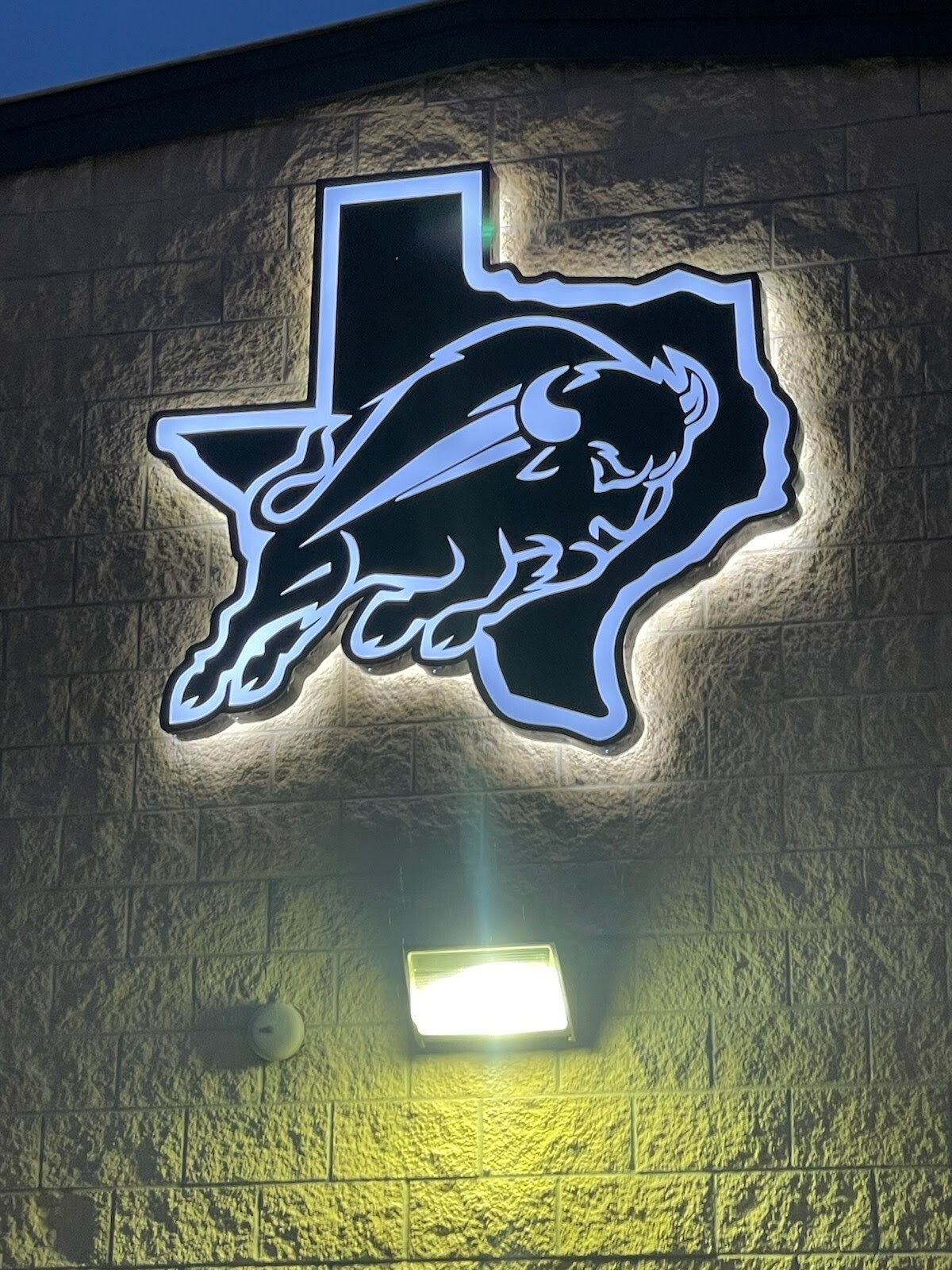 Custom Business Logo-LED Illuminated Cloud Signs
