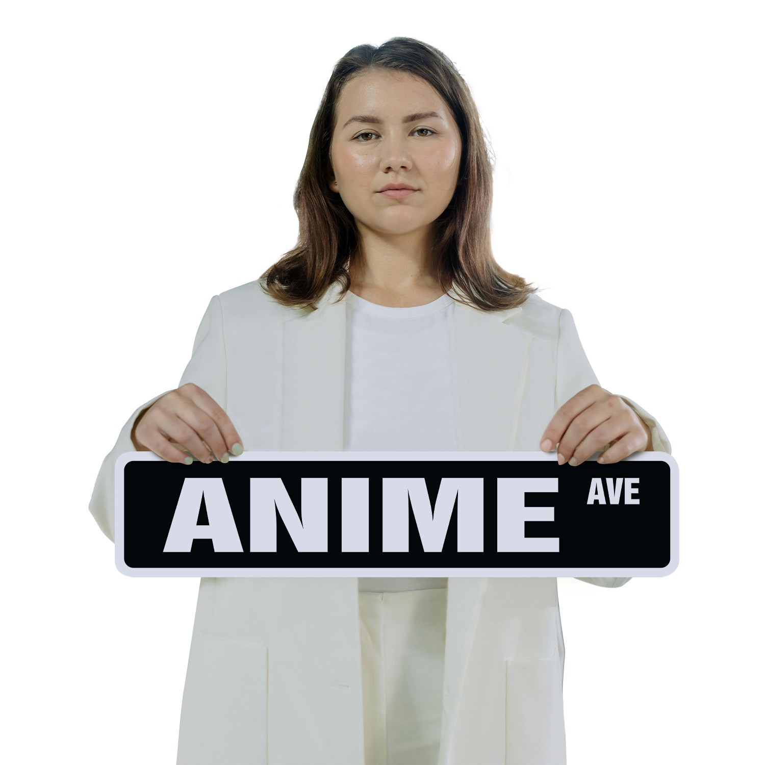 ANIME Street Sign (2 Pack) Metal Plastic cartoon japanese japan show animation