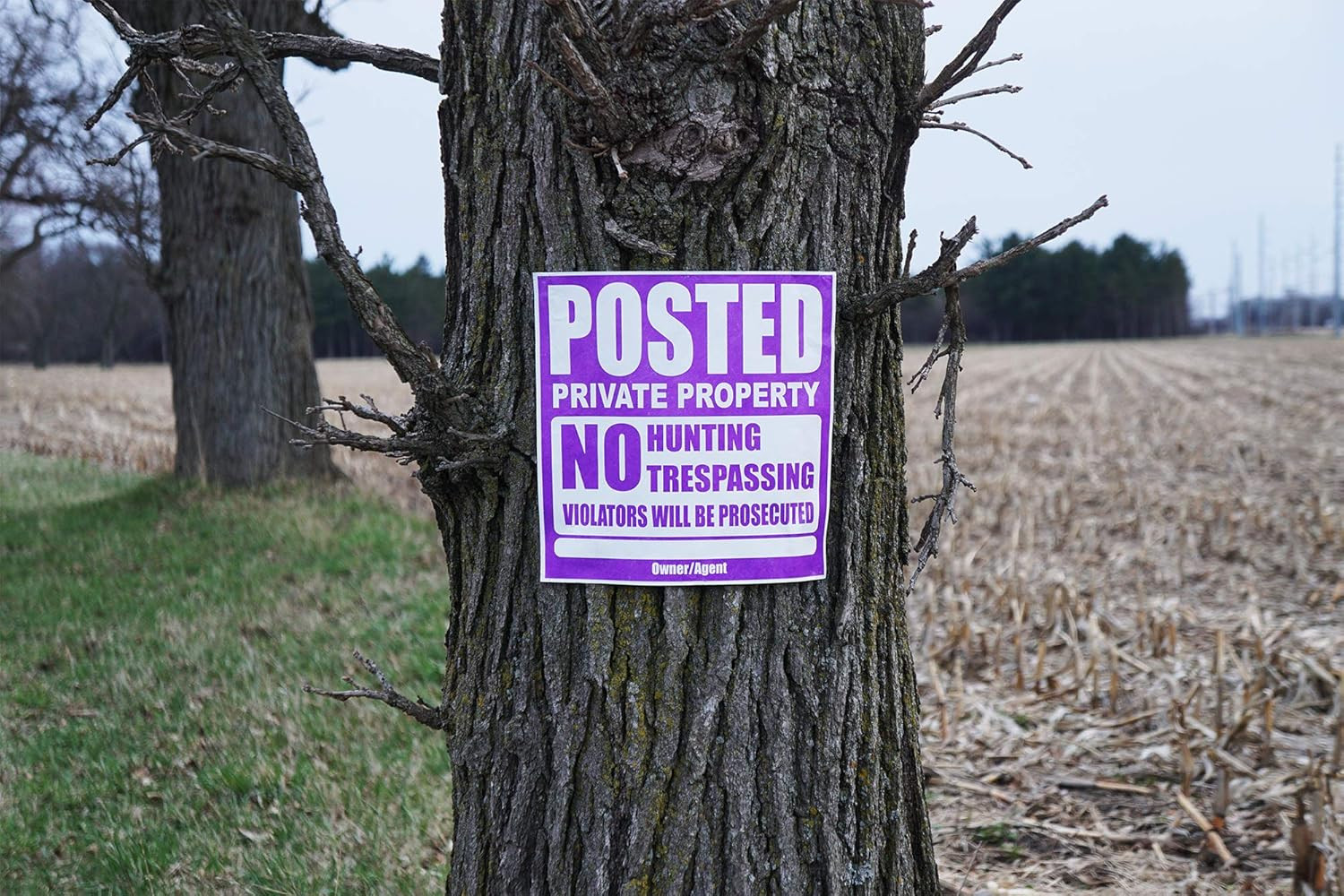 25 Pack Posted Private Property Sign 11&Prime;x11&Prime; Tyvek No Trespassing Hunting Purple