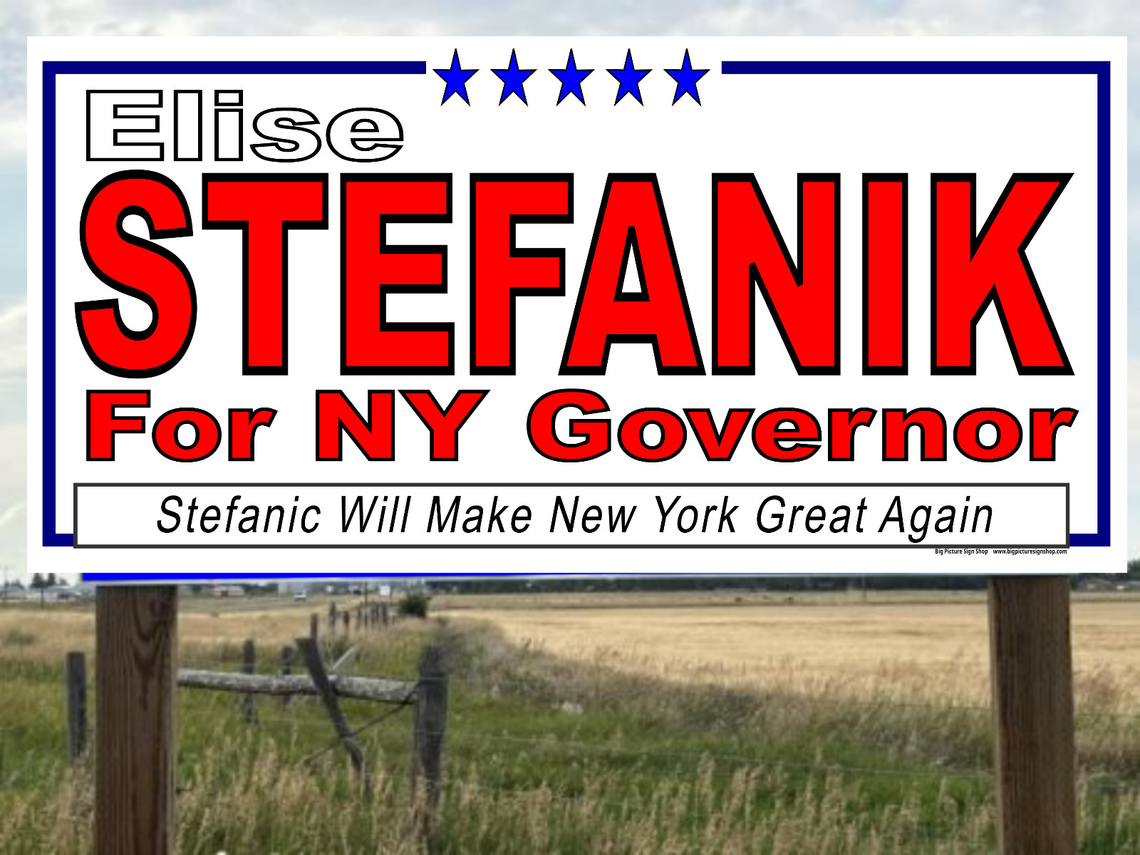 Elise STEFANIK NY GOVERNOR -Vinyl Banners-3 Choices Wh Blu Rd -Fast Ship-USA -35
