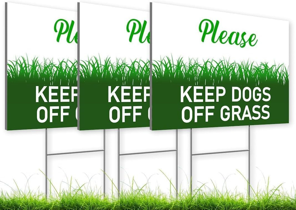 Set of 3 Smile Your on Camera Double Sided Sign with Wire H-Stakes – 8X12 Inch S