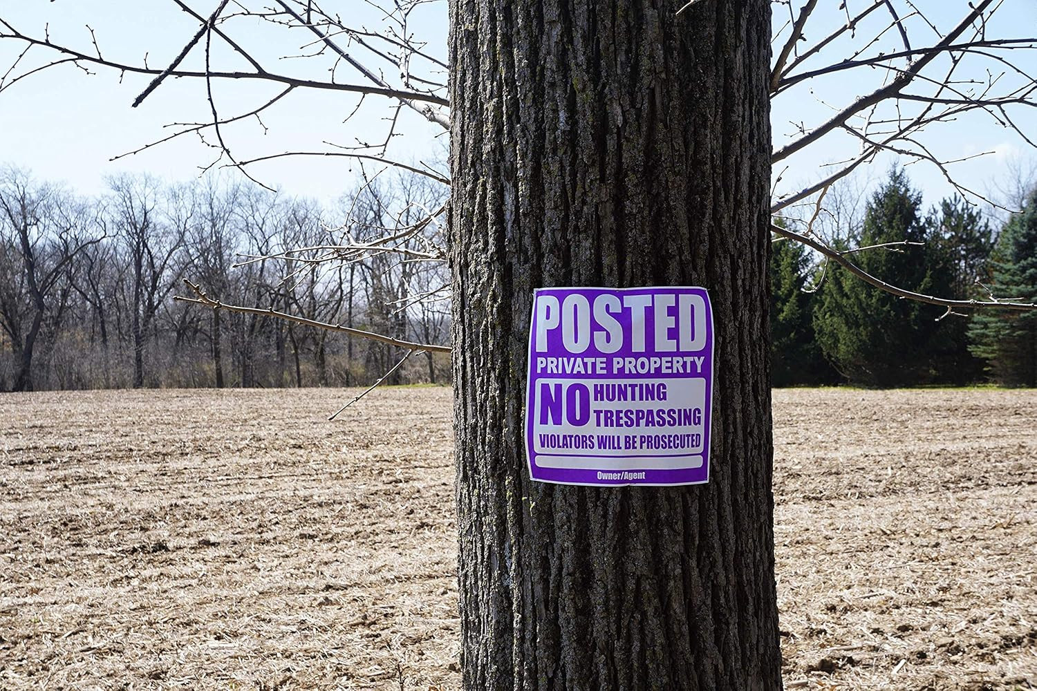 25 Pack Posted Private Property Sign 11&Prime;x11&Prime; Tyvek No Trespassing Hunting Purple