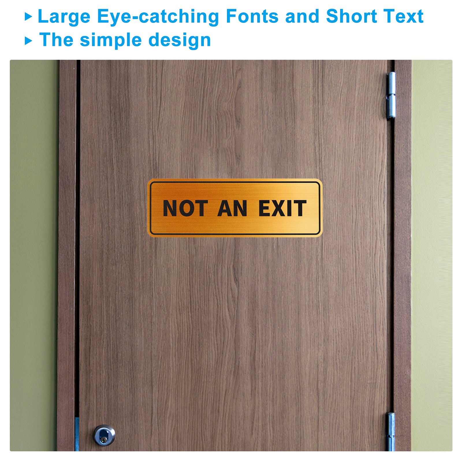 6&Prime;Lx2&Prime;Wx0.4&Prime;T Not an Exit Wall or Door Sign, Gold Tone