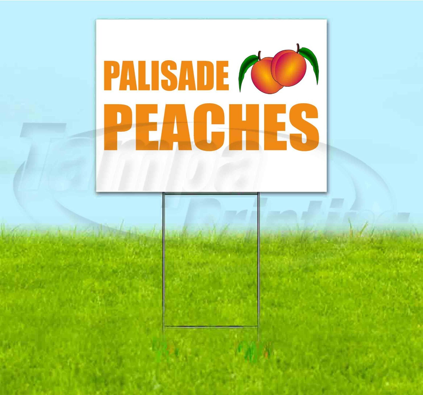 PALISADE PEACHES 18×24 Yard Sign WITH STAKE Corrugated Bandit USA PRODUCE FRUIT