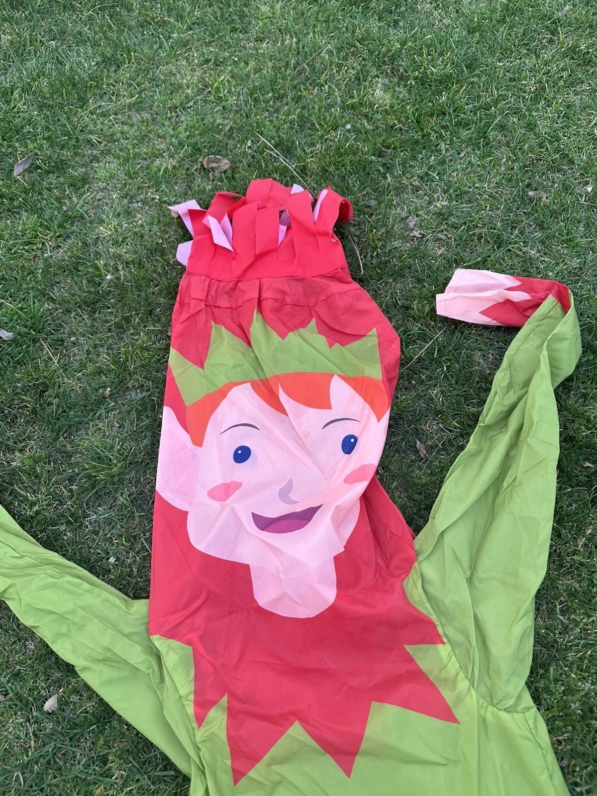 LookOurWay 6ft Elf Air Dancer Tube Man w/ 9” Blower 115V Christmas Inflatable