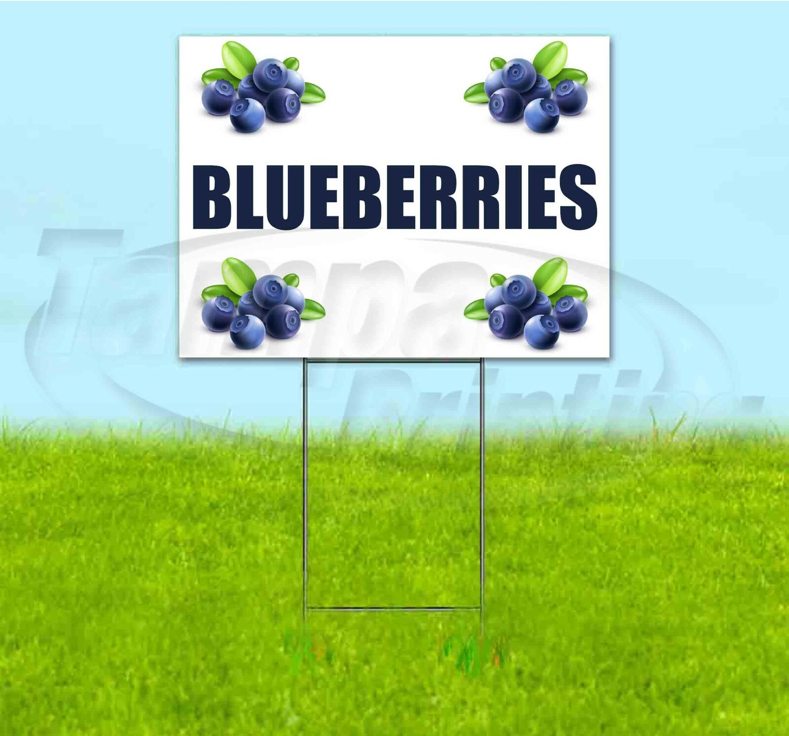 BLUEBERRIES 18×24 Yard Sign WITH STAKE Corrugated Bandit USA BUSINESS PRODUCE
