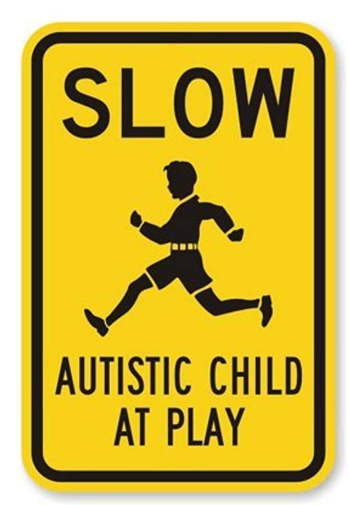 DleDan Aluminum Metal Autistic Child at Play Road Sign 8 X 12 Inches, H36