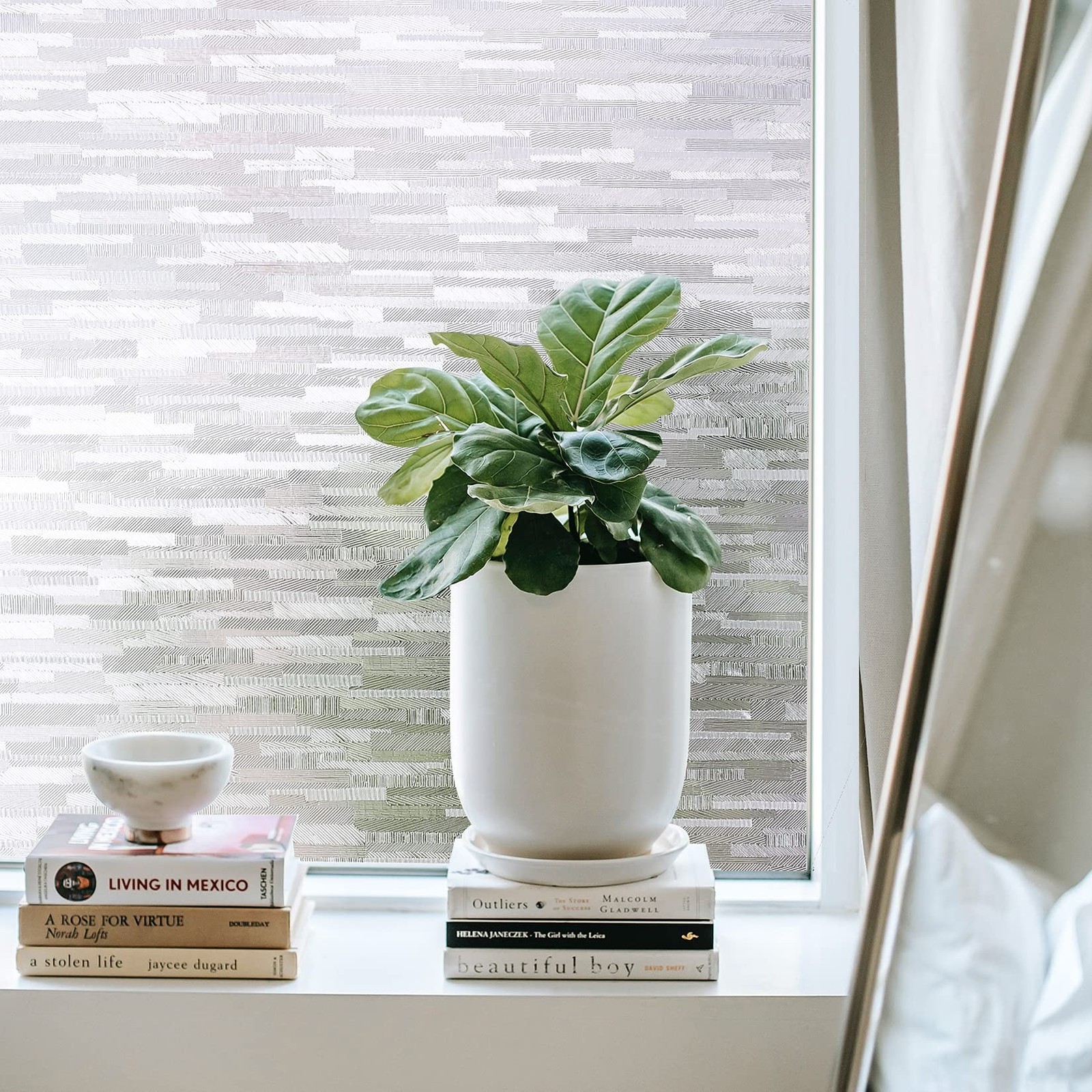CottonColors Window Privacy Film 17&Prime;X 78&Prime;, Frosted Glass Window Film Decorati…