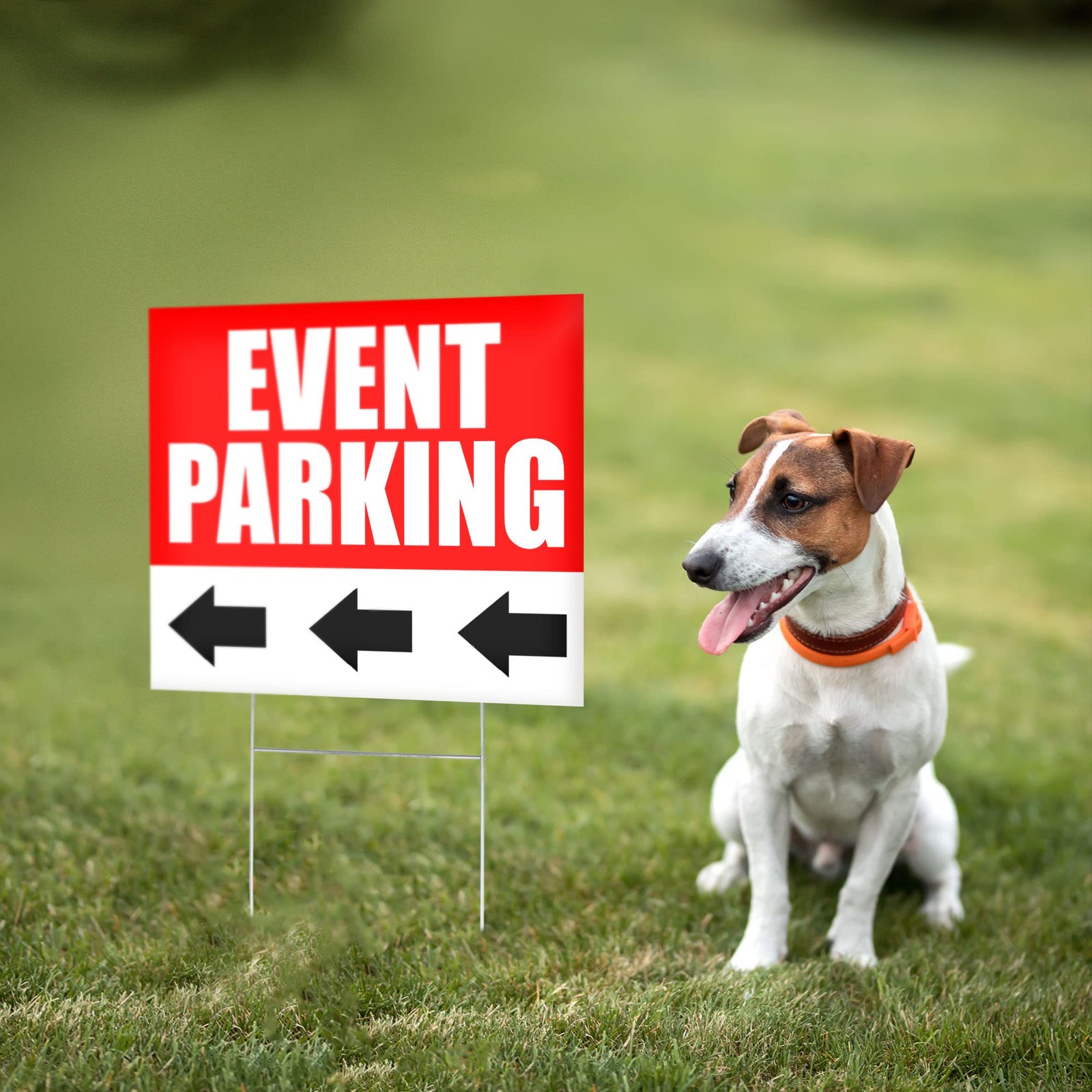 6 PC Event Parking Signs with Arrows – 16×12 Coroplast – Reserved Parking Sign