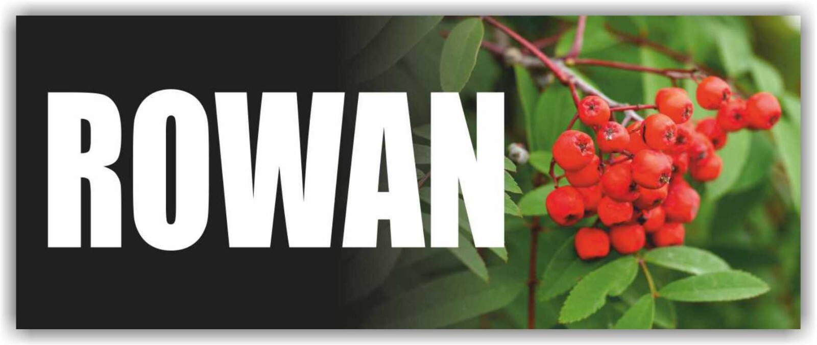 Rowan Advertising Banner Vinyl Sign Fresh Berries Vegetables Fruits Farm