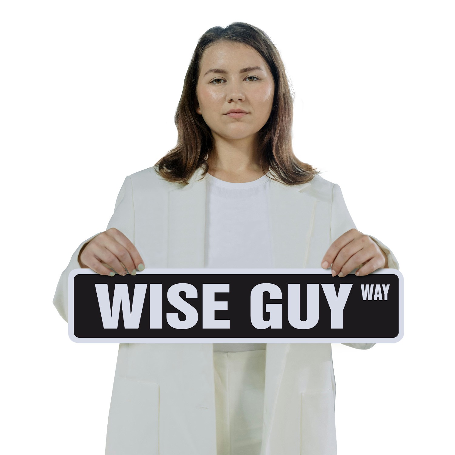 WISE GUY Street Sign (2 Pack) Metal Road Sign hood mob gang mafia gangster