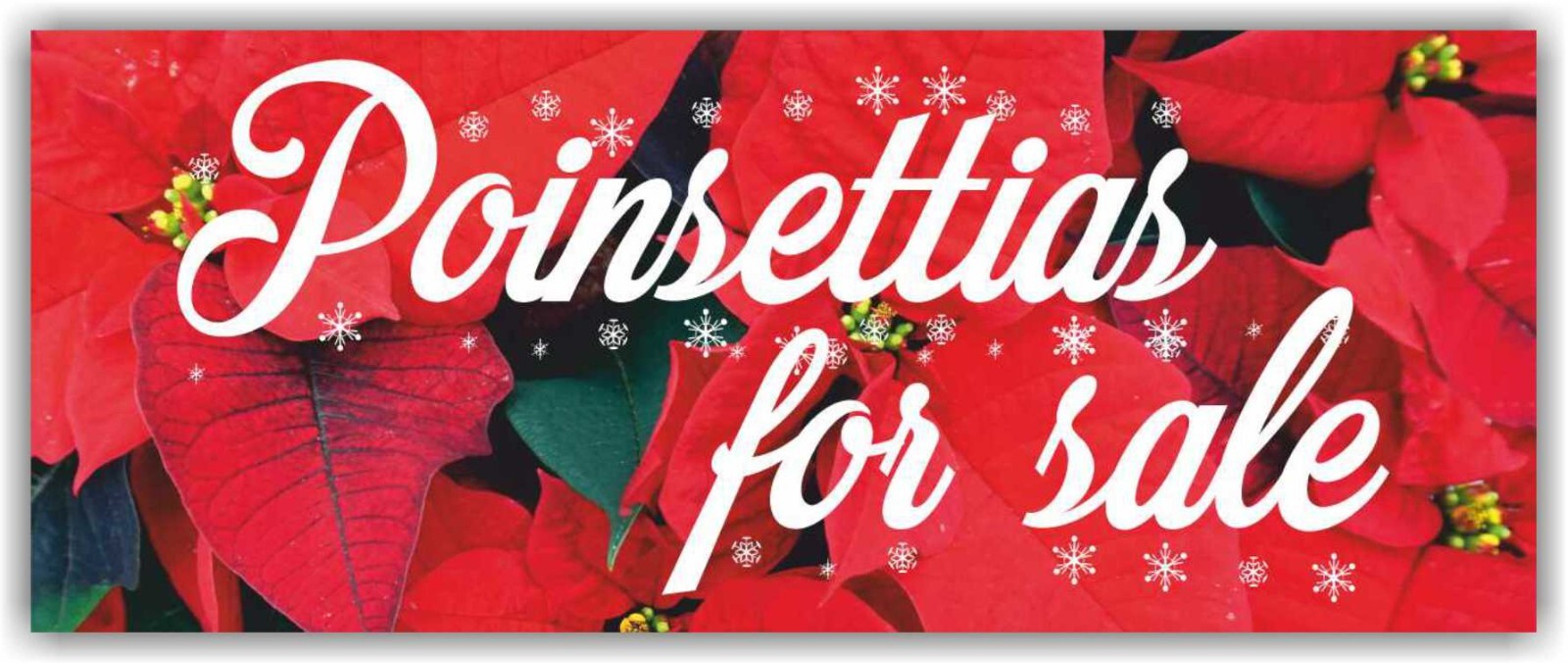 Poinsettias Sale Advertising Banner Vinyl Mesh Sign Holidays Christmas Flowers
