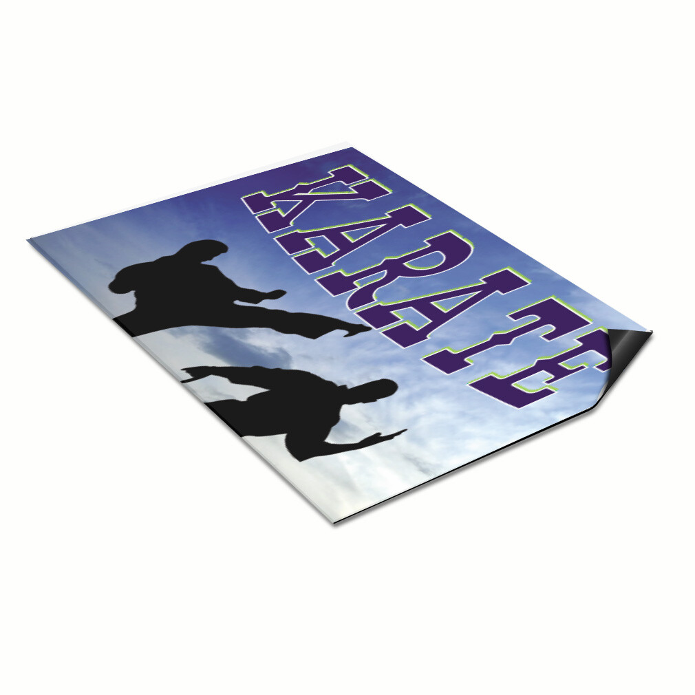 Car Magnet Set of 2 Karate Outdoor Advertising Printing C Industrial Sign