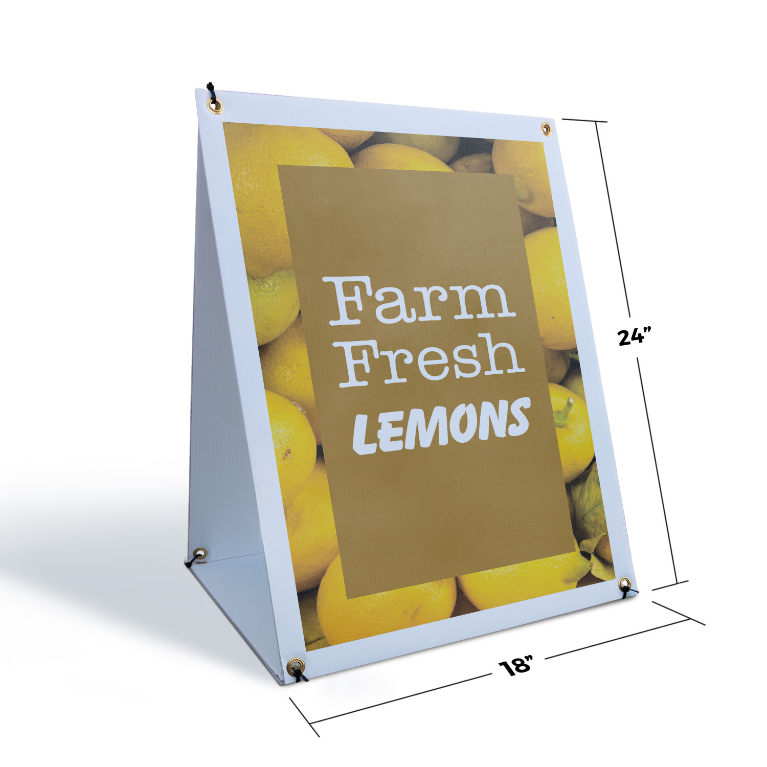 Farm Fresh Lemons A-Frame Sidewalk Sign Fresh Citrus Local Grocers Farmers
