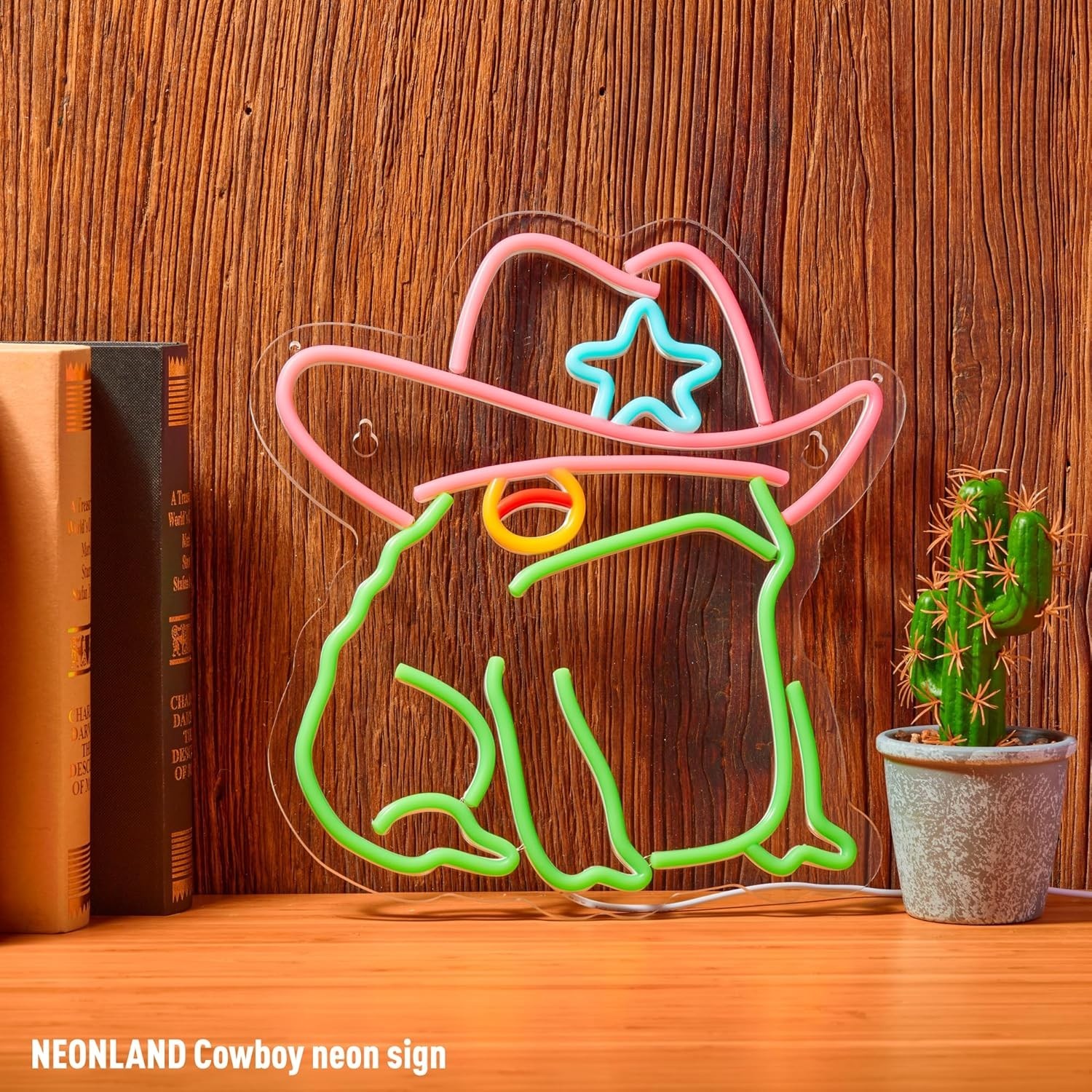 Cowboy Toad Neon Sign Frog Neon Light Cowboy LED USB Powered Dimmable Art Signs