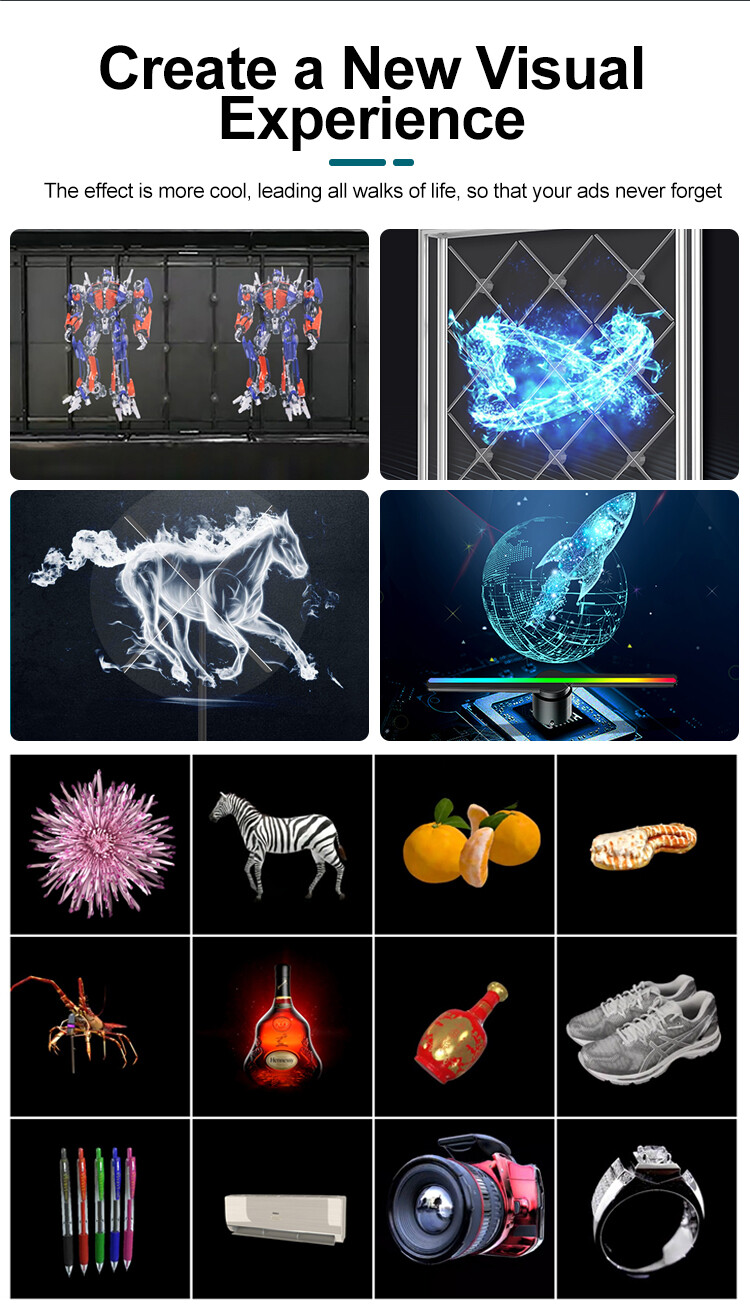 Creative Advertising HD Holographic 3D Display LED Hologram Fan for Commercial