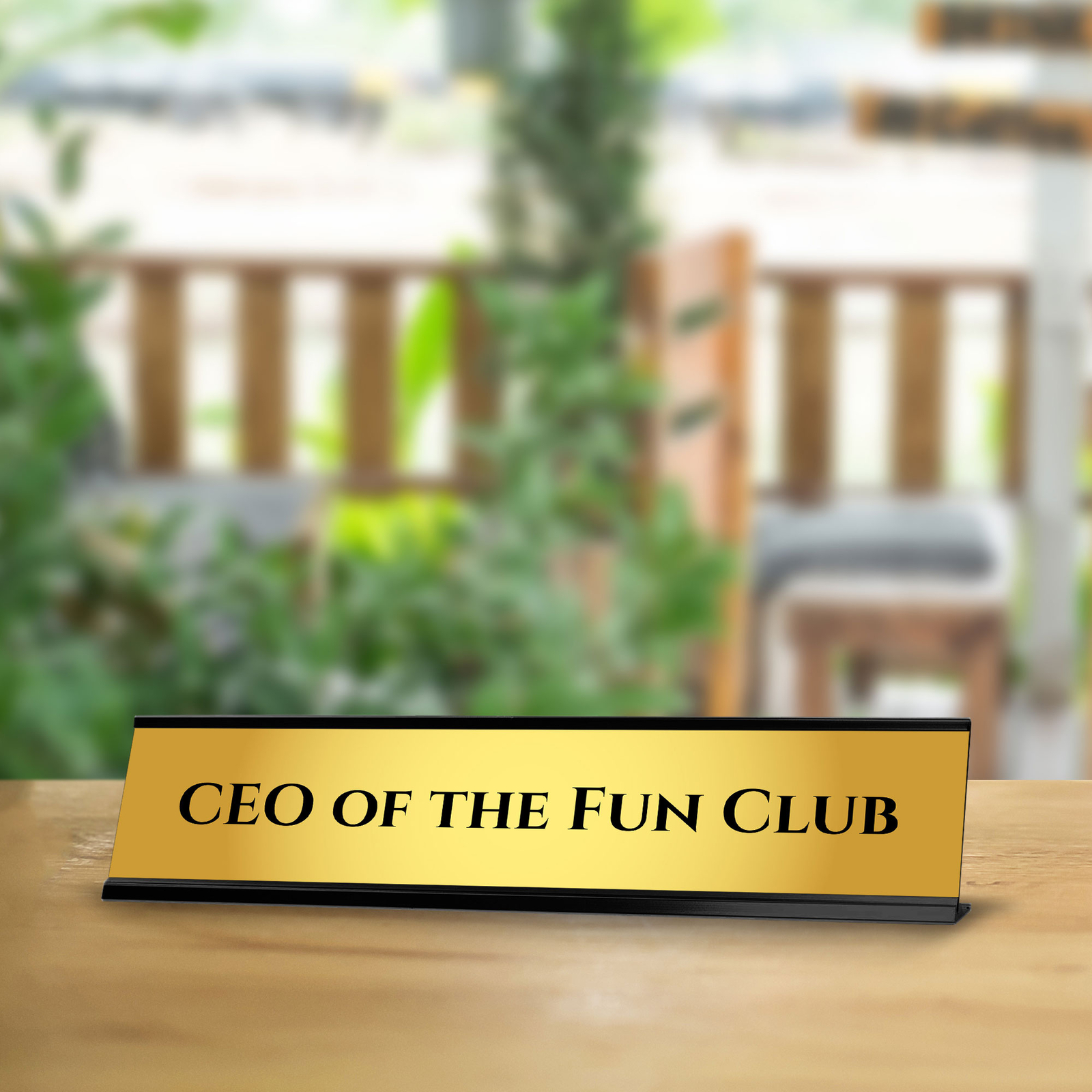 CEO Of The Fun Club 2 x 10&Prime; Desk Sign | Funny Home & Office Decor