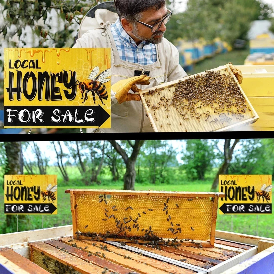 3 Pcs Local Honey Yard Sign 12 x 16 Inch Plastic Horizontal Sold Sign with St…