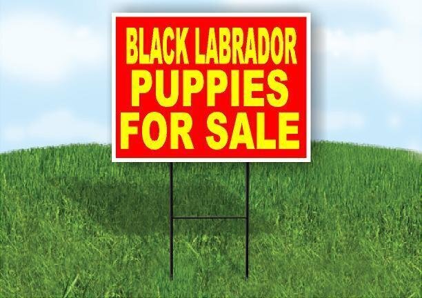 BLACK Labrador PUPPIES FOR SALE YELLOW RED Yard Sign Road with Stand LAWN SIGN