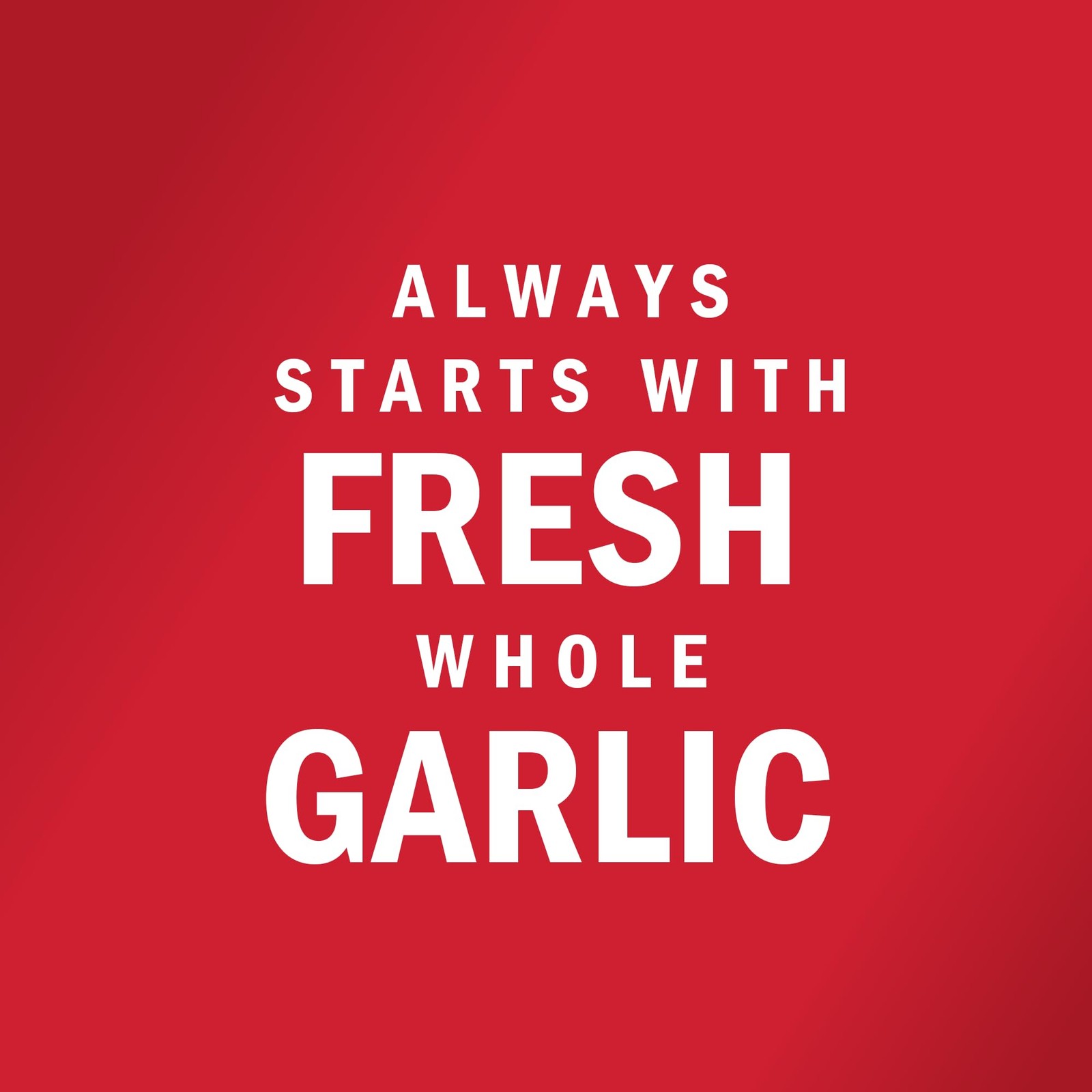 McCormick Coarse Grind Garlic Salt With 28 Ounce (Pack of 1), Multicolor