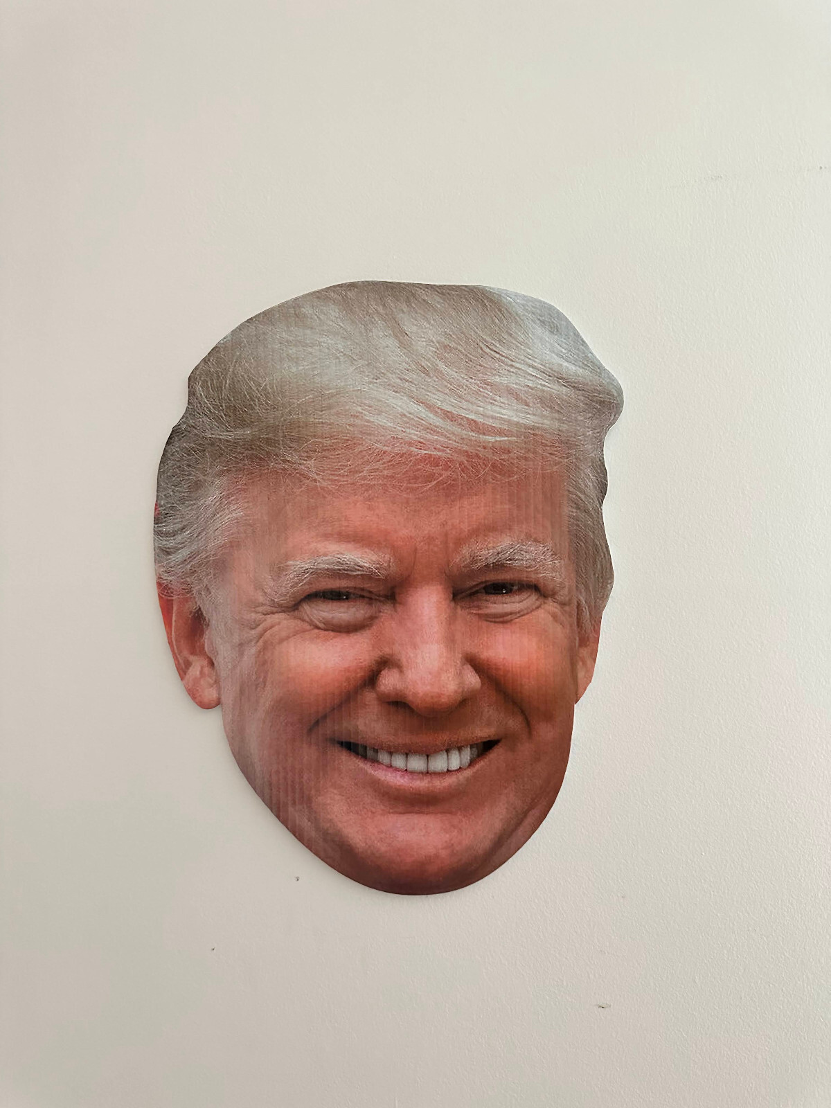 TRUMP HEAD KEEP AMERICA GREAT 15&Prime;x11.6&Prime; YARD SIGN WITH STAKE PENCE WHOLESALE USA
